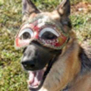 Meet your Posher, Camille